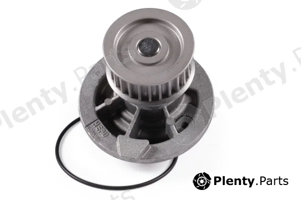 Hepu P316 — Water Pump, engine cooling