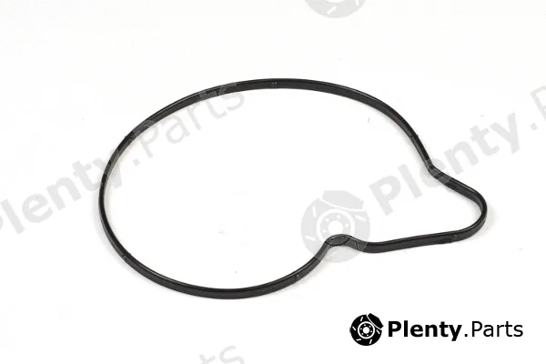 Hepu P663M — Water Pump, engine cooling
