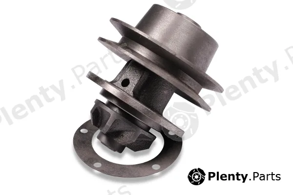 Hepu P0124 — Water Pump, engine cooling
