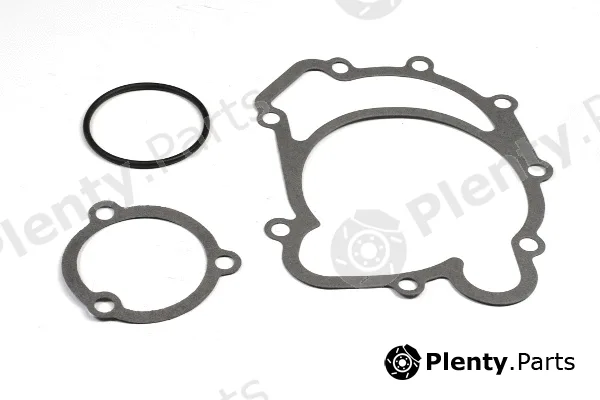Hepu P181 — Water Pump, engine cooling