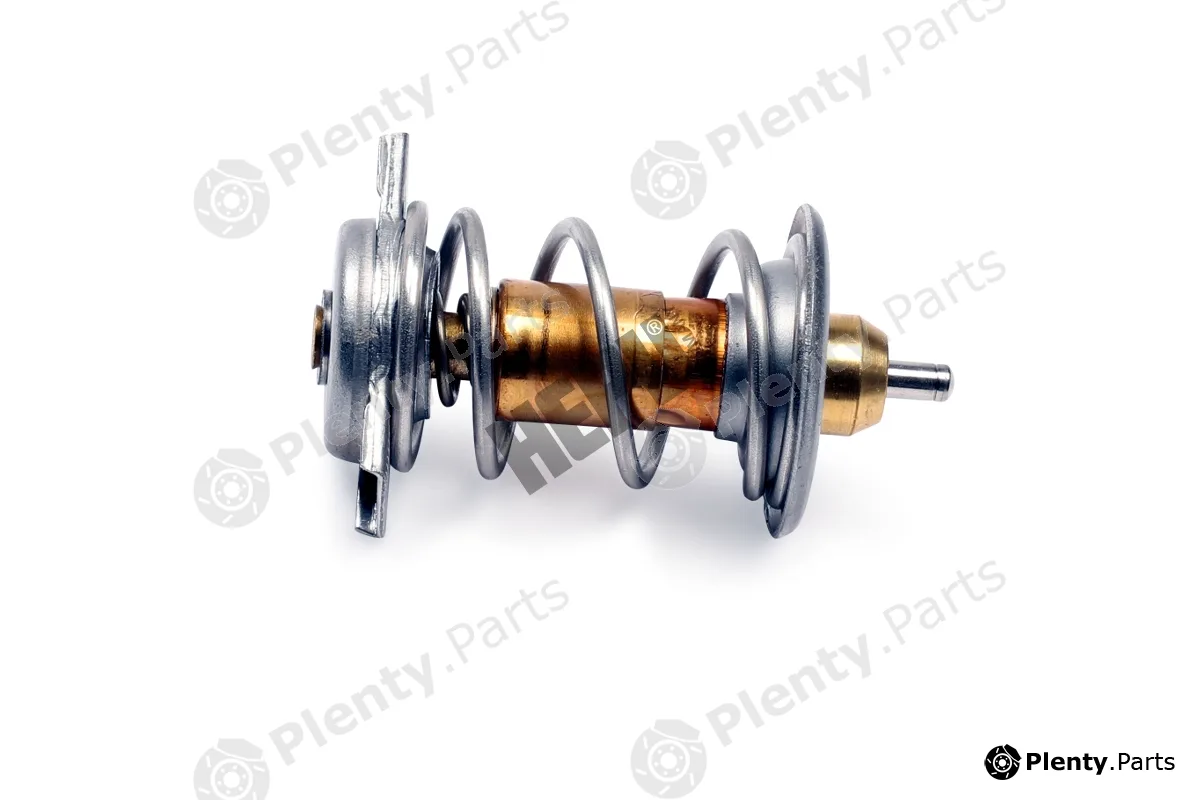 Hepu TM1299 — Thermostat, coolant