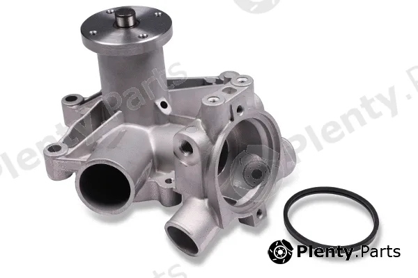Hepu P009 — Water Pump, engine cooling