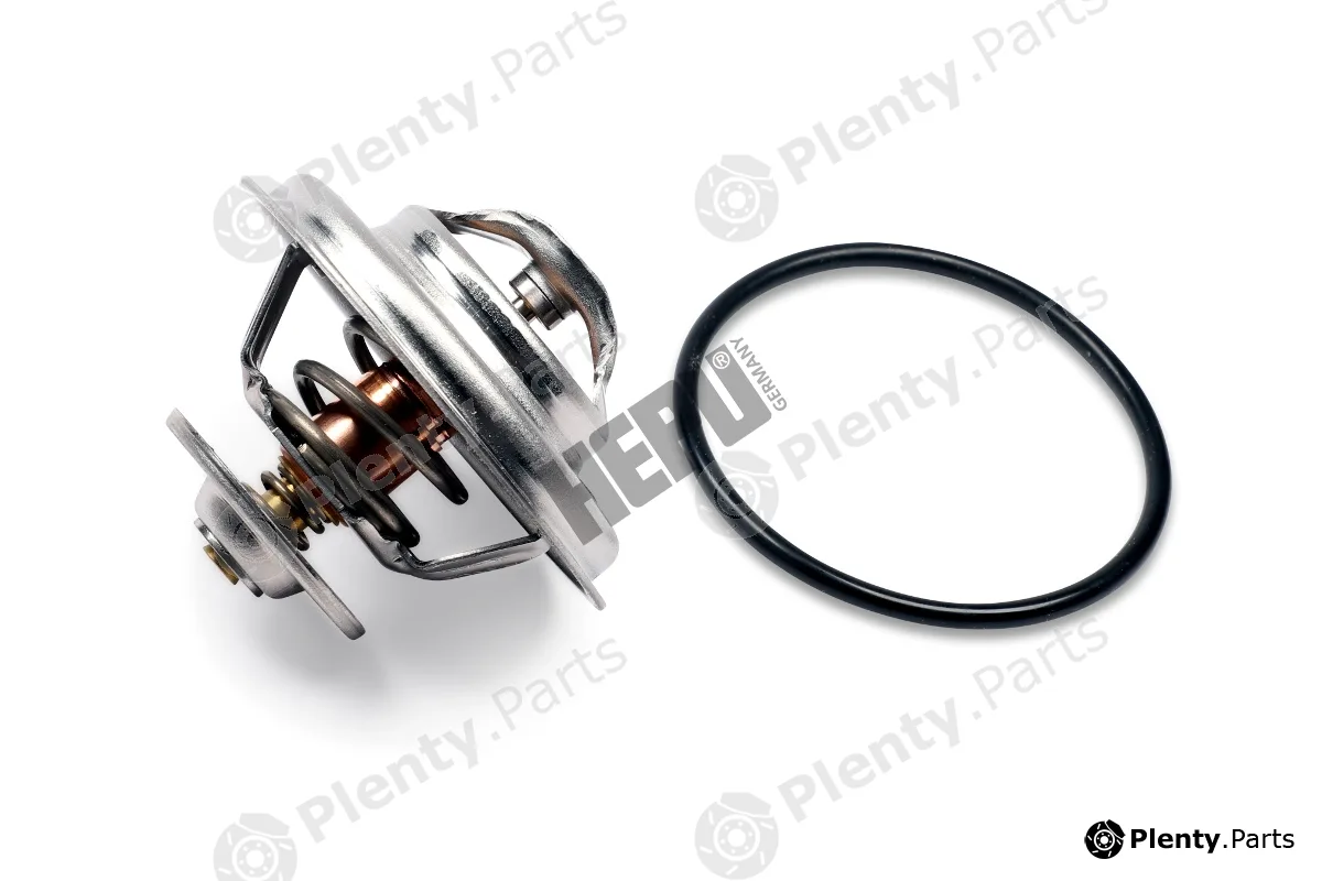 Hepu TM1298 — Thermostat, coolant
