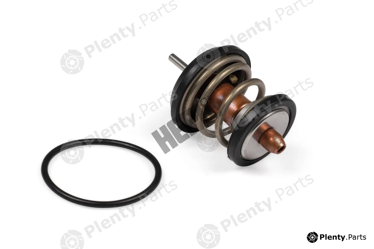 Hepu TM1003 — Thermostat, coolant