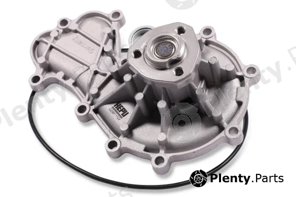Hepu P667 — Water Pump, engine cooling