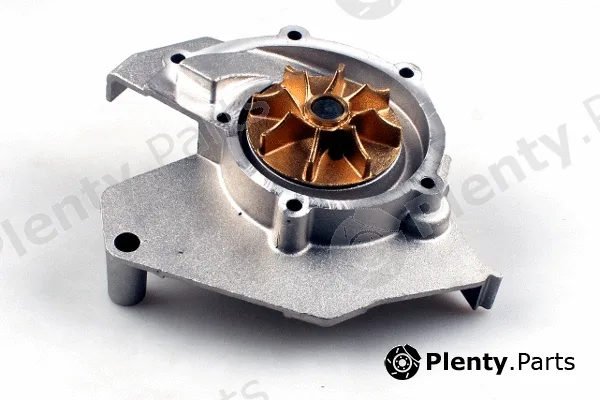 Hepu P843 — Water Pump, engine cooling
