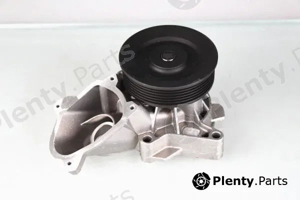 Hepu P487 — Water Pump, engine cooling