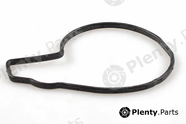Hepu P434 — Water Pump, engine cooling