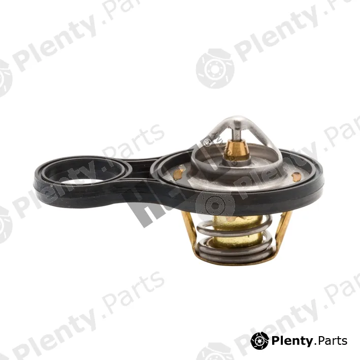 Hepu TM1293 — Thermostat, coolant