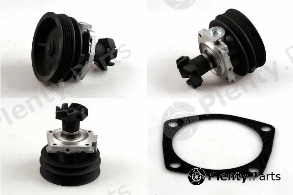 Hepu P100 — Water Pump, engine cooling