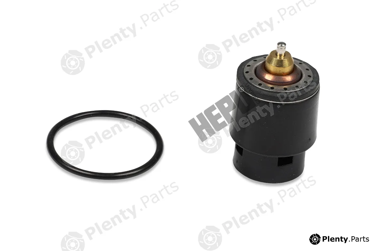 Hepu TM1241 — Thermostat, coolant