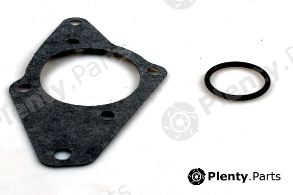 Hepu P1019 — Water Pump, engine cooling