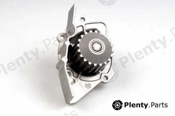 Hepu P889 — Water Pump, engine cooling