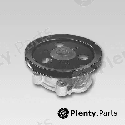 Hepu P787 — Water Pump, engine cooling