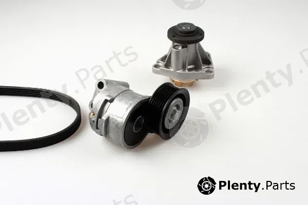 Hepu PK03200 — Water Pump + V-Ribbed Belt Kit