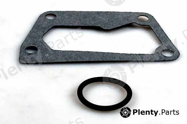 Hepu P1021 — Water Pump, engine cooling