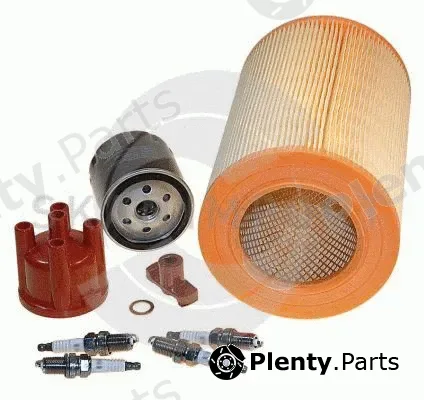 Skanimport SK-900-4 — Filter Set + Verteilerkappe und -finger und Zündkerzen