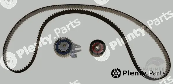 Skanimport ZRS5336 — Timing Belt Kit