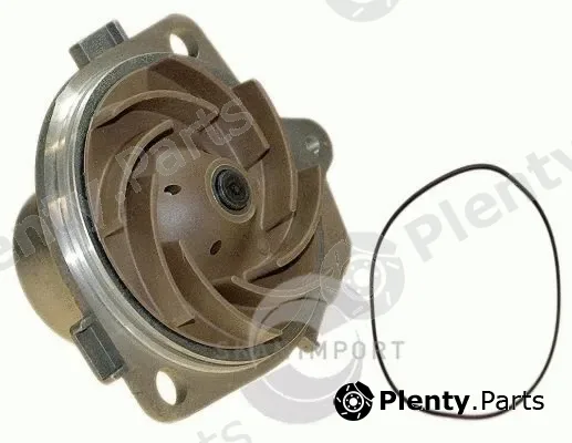 Skanimport WP8713 — Water Pump, engine cooling