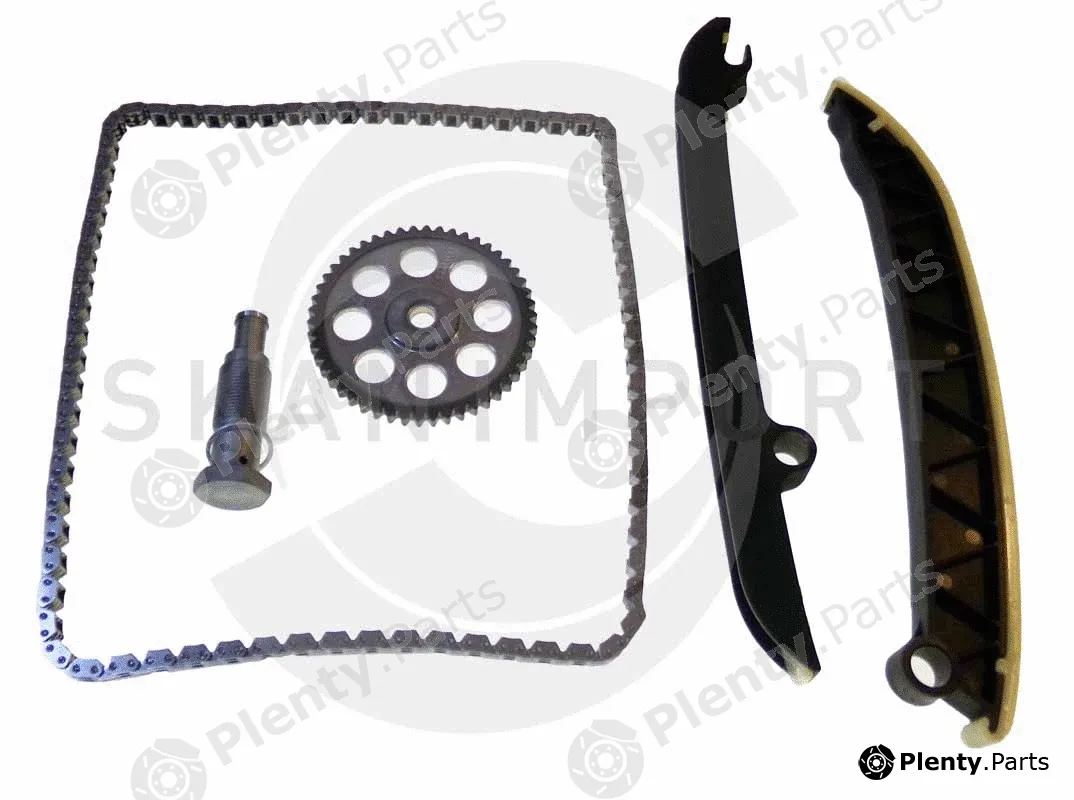 Skanimport ZRSV-4 — Timing Chain Kit