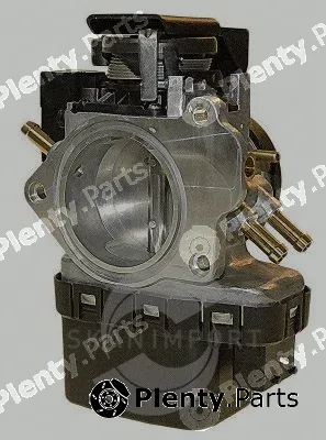 Skanimport 01.0191 — Acuator, throttle valve