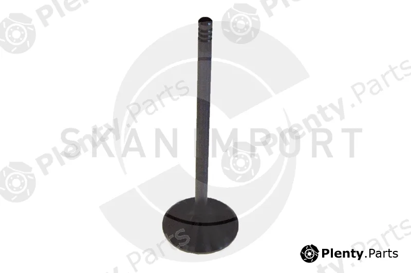 Skanimport 44-6095 — Intake Valve