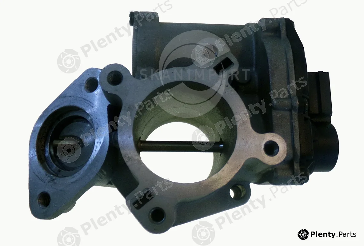 Skanimport 001.8436 — EGR Valve