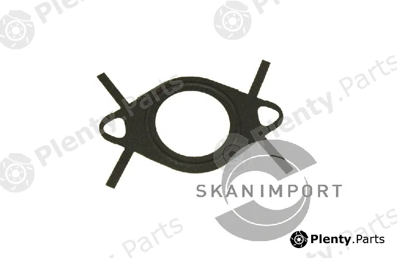 Skanimport 01.6600 — Gasket, EGR valve pipe