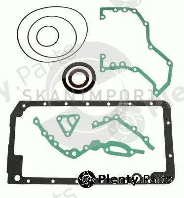 Skanimport CS490-50-1 — Gasket Kit, crankcase
