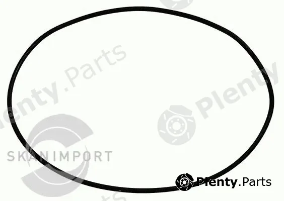 Skanimport OR-824 — Gasket, oil pump