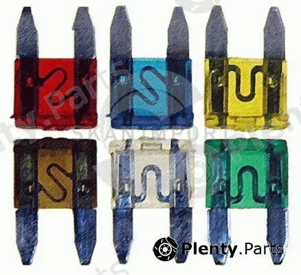 Skanimport FSS-1 — Fuse Kit