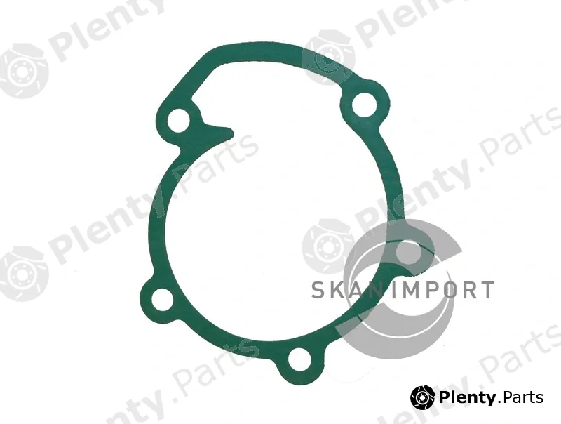 Skanimport D6516 — Gasket, water pump