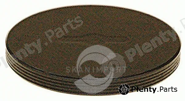 Skanimport 01.7381 — Locking Cover, camshaft