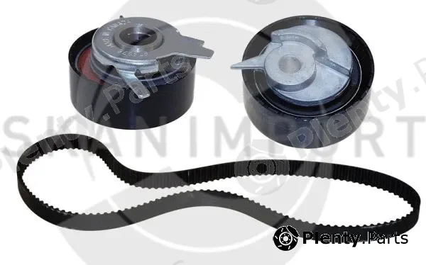 Skanimport ZRS9393 — Timing Belt Kit
