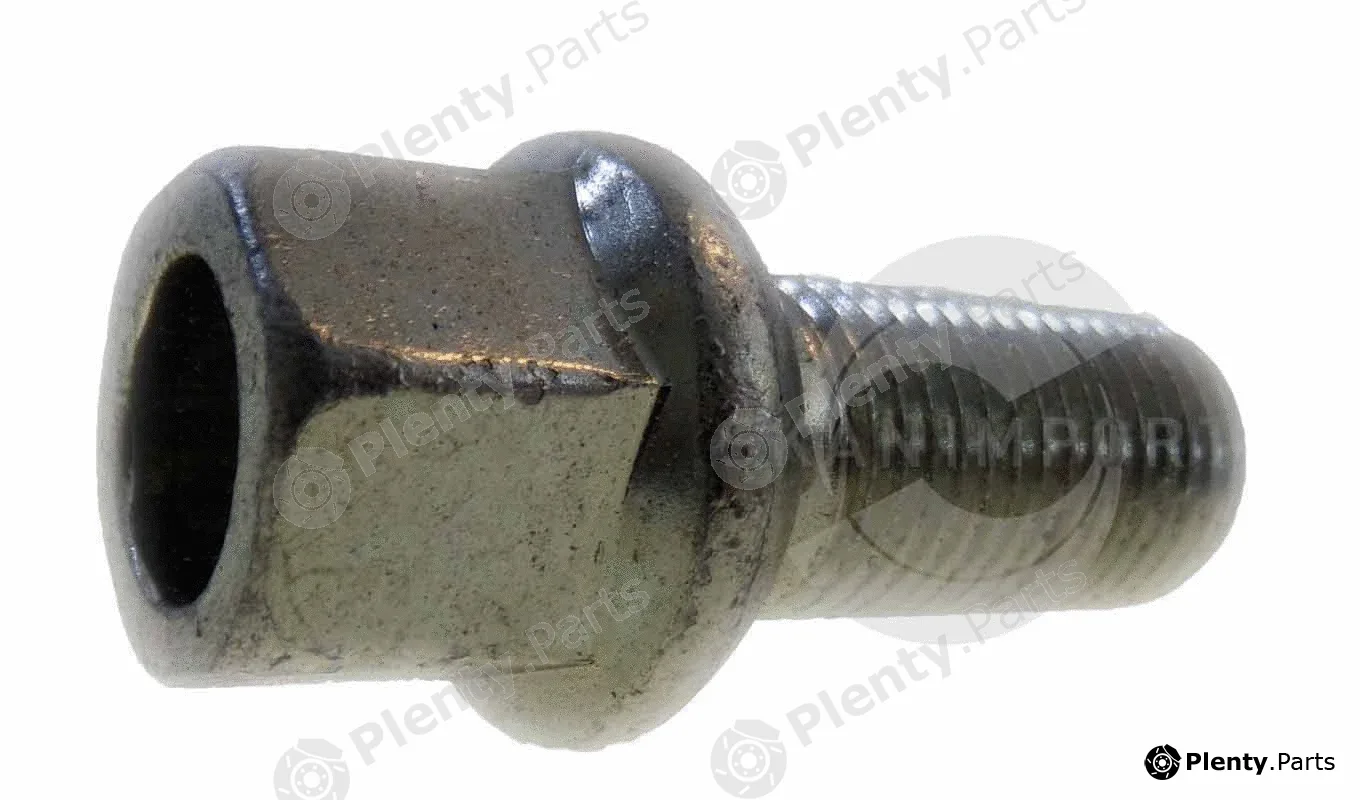 Skanimport RBV1 — Wheel Bolt