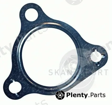 Skanimport 08.7716 — Gasket, charger