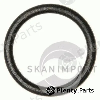 Skanimport OR-1707 — Shaft Seal, speedometer drive
