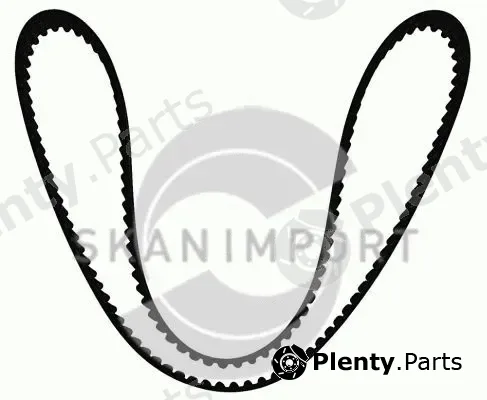 Skanimport ZR1705 — Timing Belt