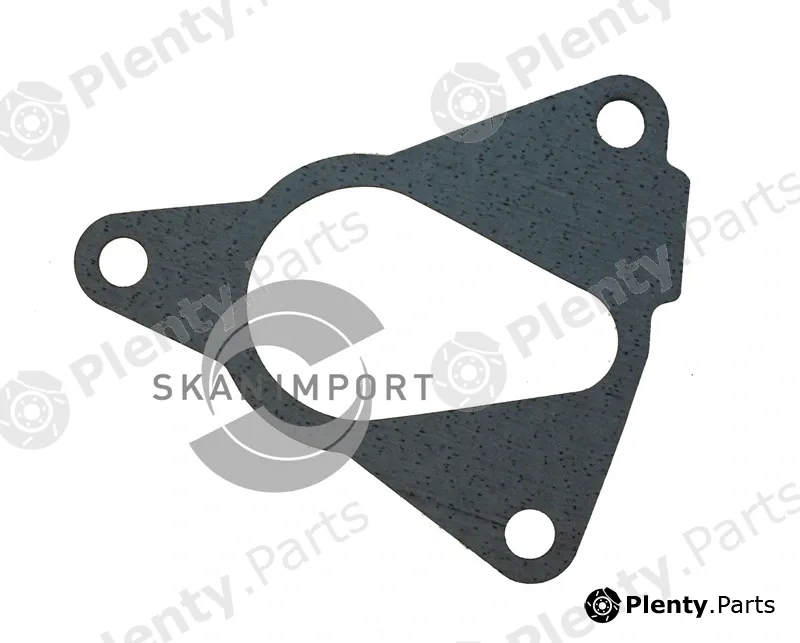 Skanimport D3687 — Gasket, water pump