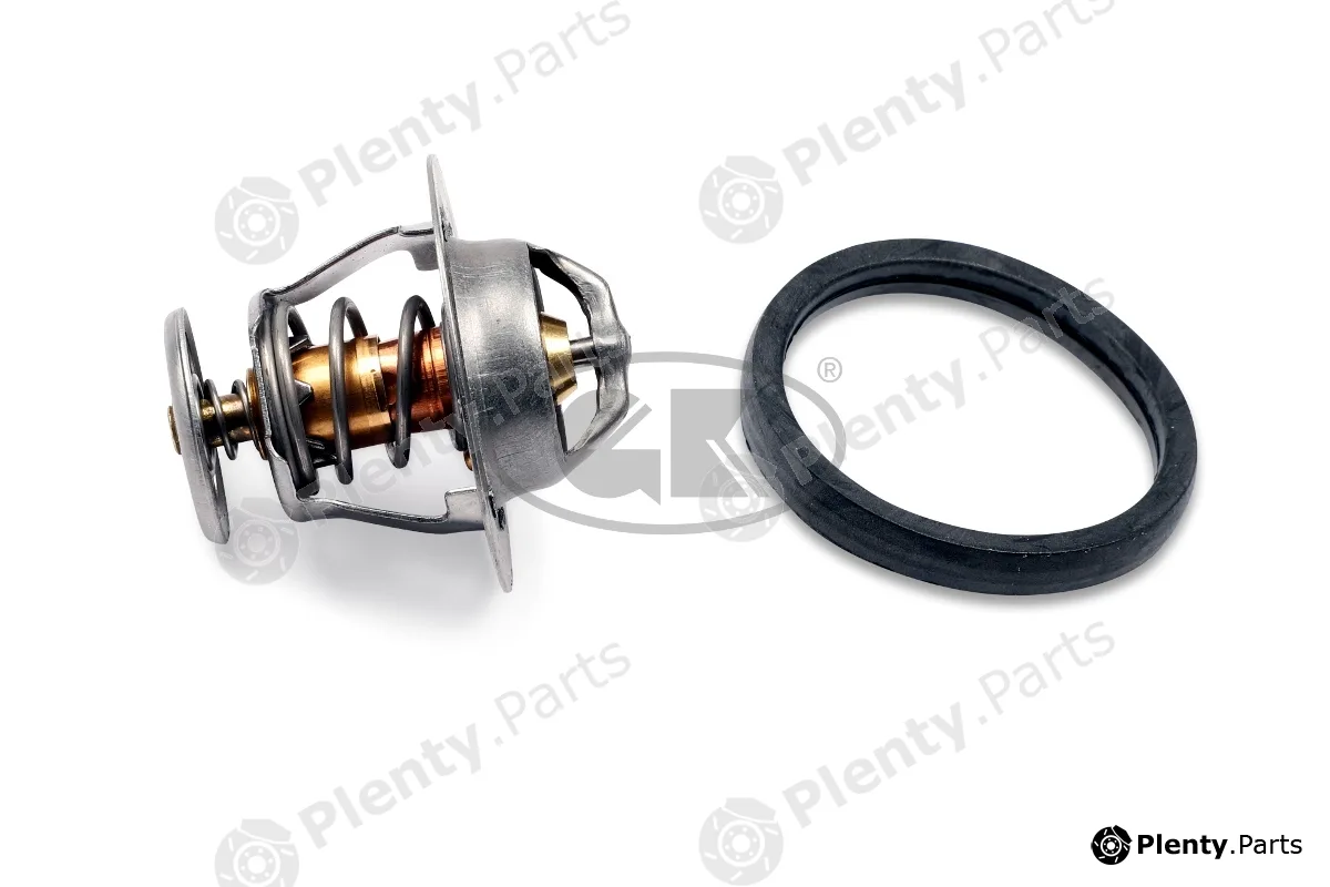 GK 701316 — Thermostat, coolant