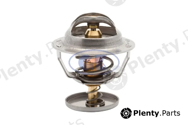GK 701263 — Thermostat, coolant