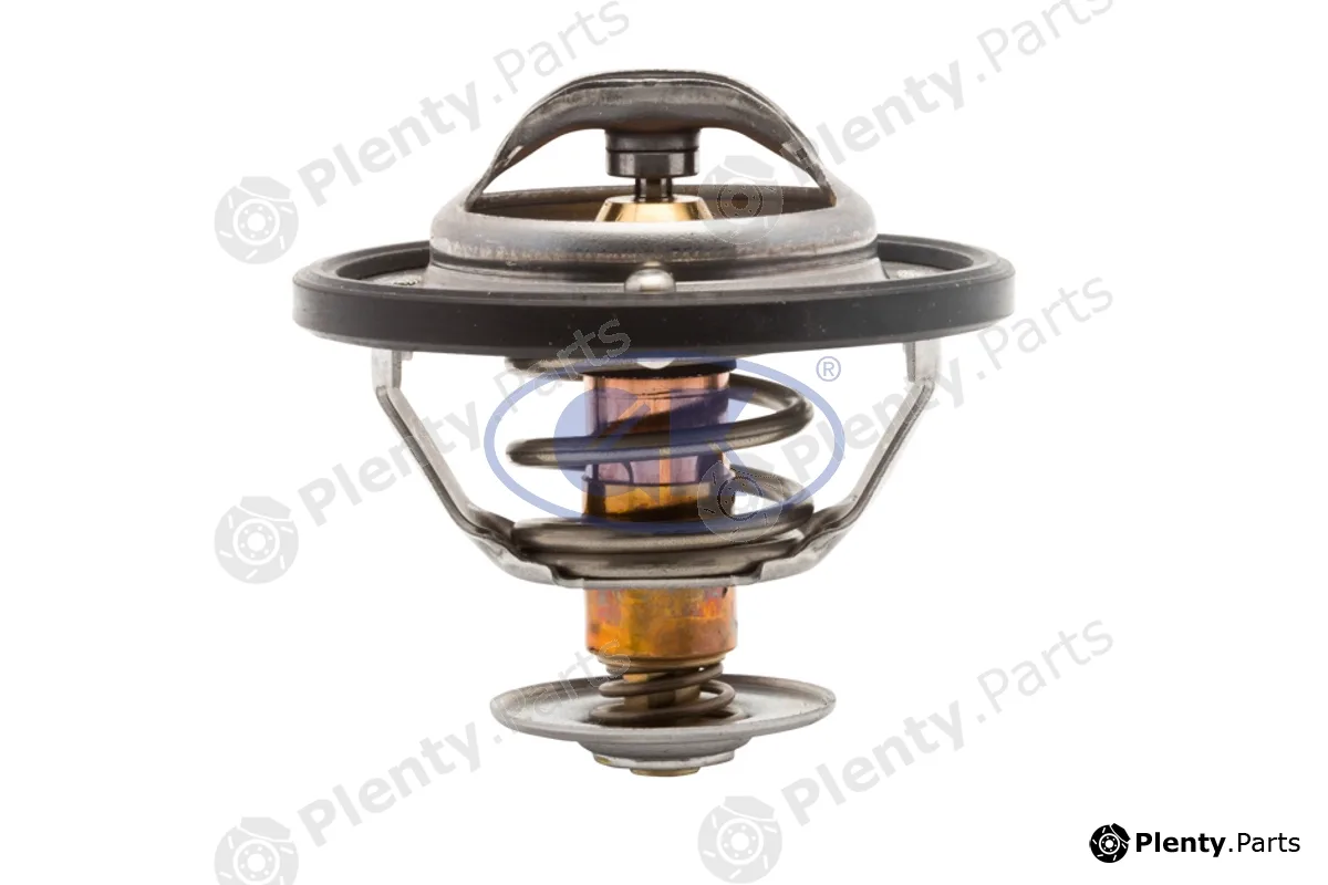 GK 701290 — Thermostat, coolant