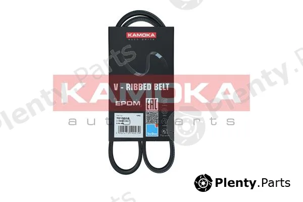 Kamoka 7015019 — V-Ribbed Belt KAMOKA