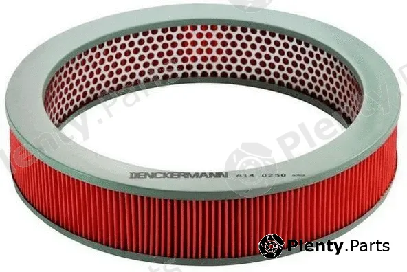 Denckermann A140250 — Air Filter