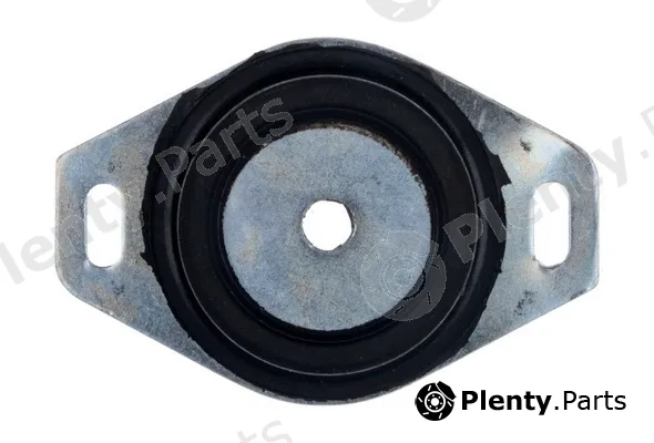 Denckermann D800001 — Mounting, engine
