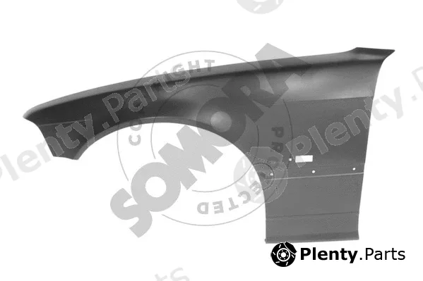 Somora 040302B — Wing