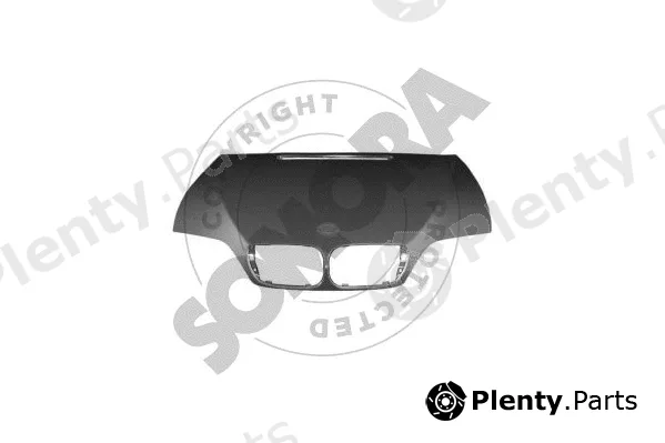 Somora 040608 — Bonnet