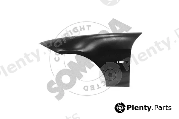 Somora 040702 — Wing