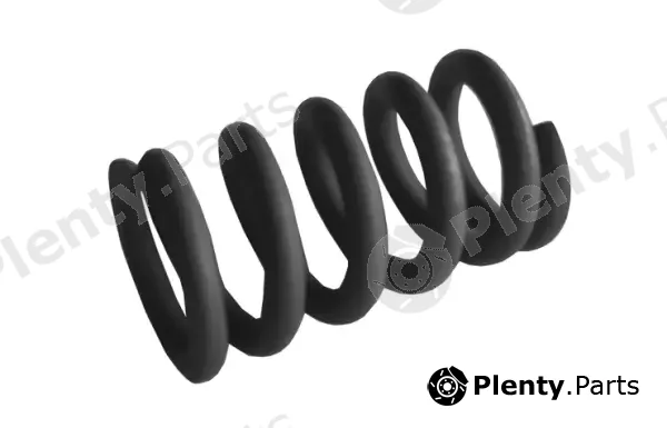 Imasaf 09.60.32 — Spring, muffler