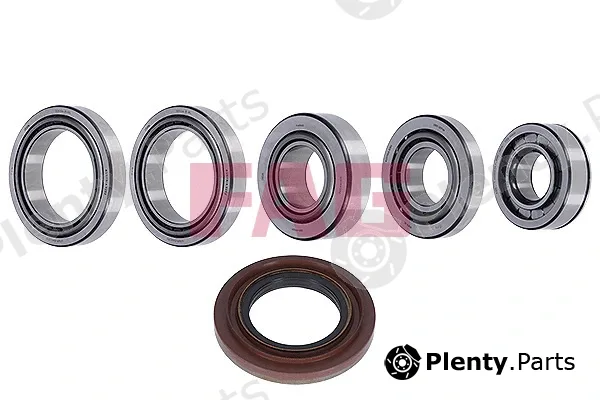 FAG 463012410 — Repair Kit, differential